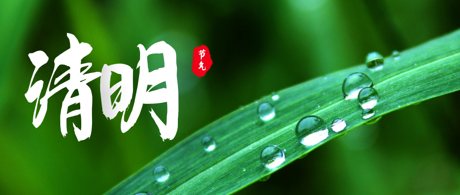 一年一清明